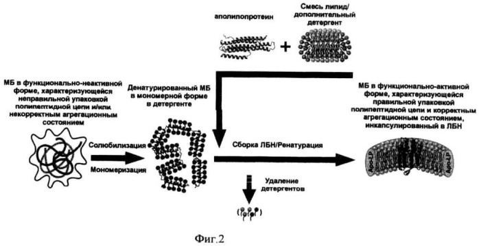 Способ ренатурации мембранных белков (патент 2500684)
