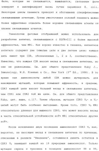 Scfv против egfrviii с улучшенной цитотоксичностью и выходом, иммунотоксины на их основе и способы их применения (патент 2317999)
