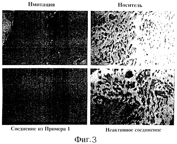 Ингибиторы ферментативной активности ротамазы, являющиеся малыми молекулами (патент 2269514)