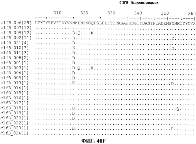 Стабильные иммуногенные композиции антигенов staphylococcus aureus (патент 2570730)