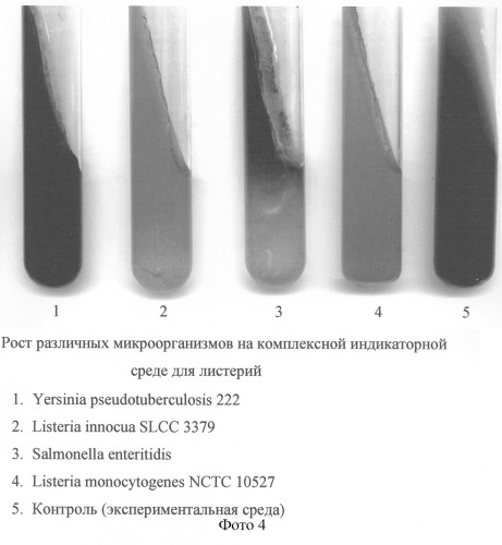 Комплексная индикаторная среда для дифференциации бактерий рода listeria (патент 2303060)