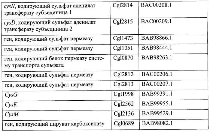 Рекомбинантные микроорганизмы, продуцирующие метионин (патент 2447146)