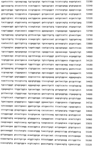 Бактериофаг, обладающий активностью против pseudomonas aeruginosa, белки бактериофага и способы их применения (патент 2580248)