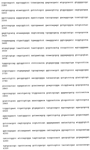 Антитела к рецептору конечных продуктов глубокого гликирования (rage) и их применения (патент 2518351)