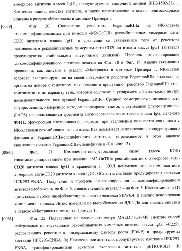 Конструкции слияния и их применение для получения антител с повышенными аффинностью связывания fc-рецептора и эффекторной функцией (патент 2407796)