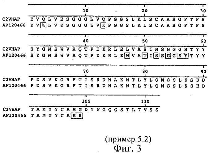 Гуманизированное антитело к амилоиду бета (патент 2498999)
