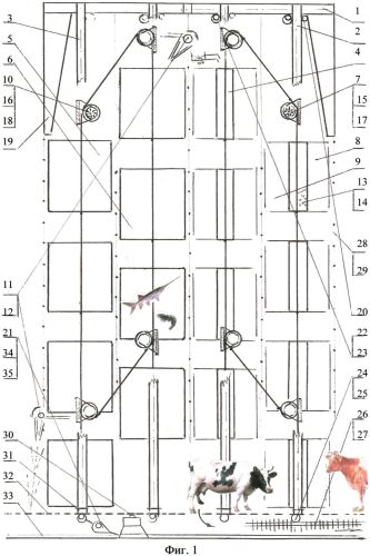 Вертикальный конвейер дроссельных растилен пищевых, пастбищных и фармацевтических растений, осетров, креветок, спирулины (патент 2555146)