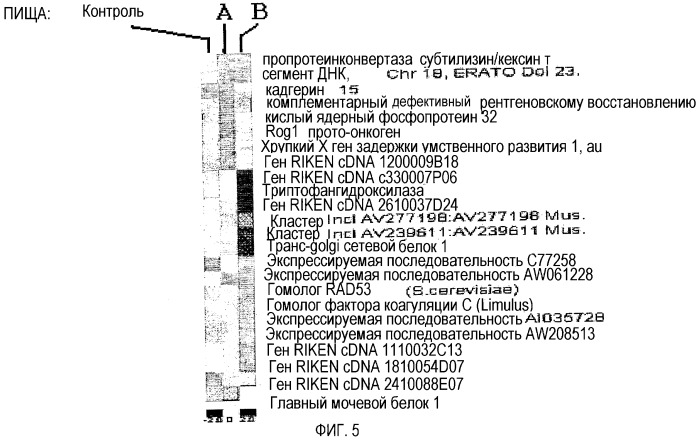 Применение антиоксидантов для модуляции генов (патент 2433819)