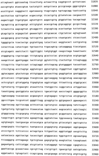 Бактериофаг, обладающий активностью против pseudomonas aeruginosa, белки бактериофага и способы их применения (патент 2580248)