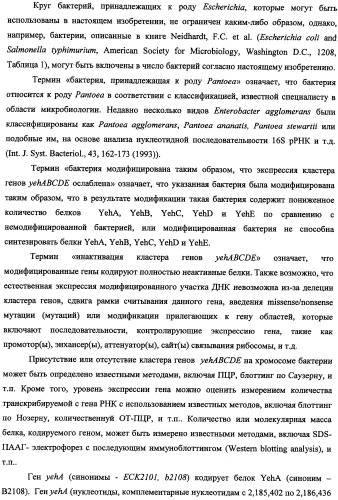 Способ получения l-треонина и l-аргинина с использованием бактерии, принадлежащей к роду escherichia, в которой инактивирован кластер генов yehabcde (патент 2337960)