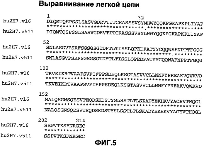 Способ лечения волчанки (патент 2396980)