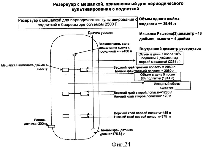 Производство полипептидов (патент 2451082)