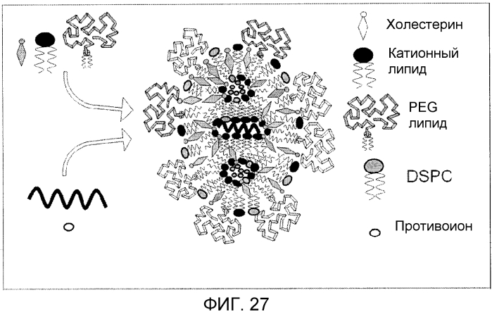 Содержащие нуклеиновые кислоты липидные частицы и относящиеся к ним способы (патент 2573409)