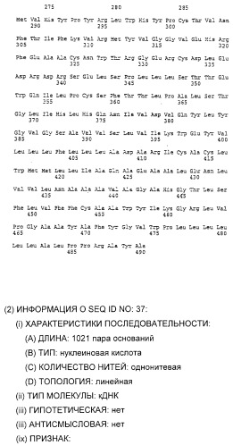 Очищенные белки оболочки вируса гепатита с для диагностического и терапевтического применения (патент 2313363)