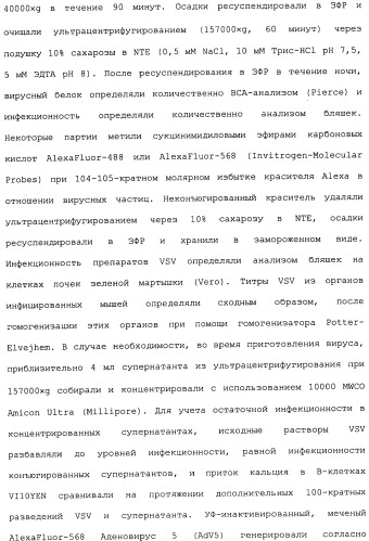 Никотиновые иммунонанотерапевтические лекарственные средства (патент 2487712)