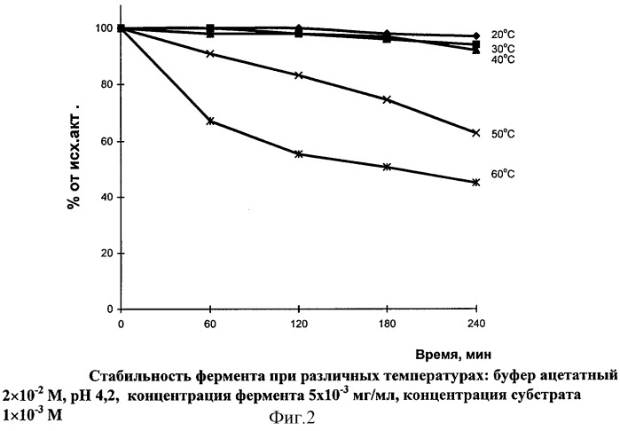 Средство для коррекции дефицита лактазы (патент 2309766)