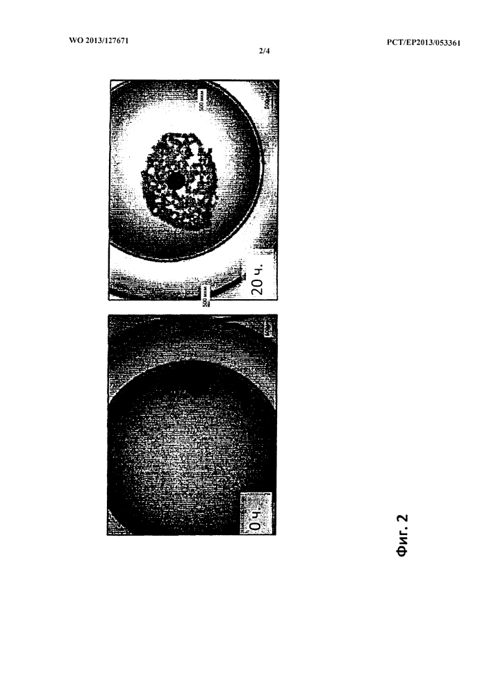 Способ получения искусственного зачатка зуба in vitro и полученный им искусственный зачаток зуба (патент 2638783)