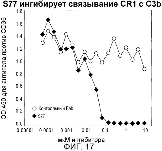 Антитела против c3b и способы профилактики и лечения связанных с комплементом нарушений (патент 2473563)