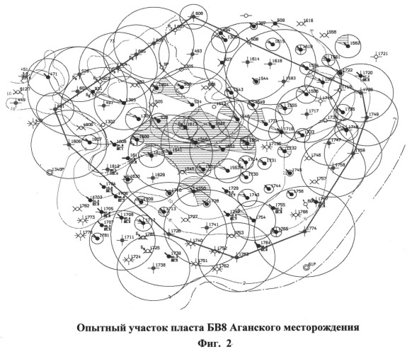 Способ разработки нефтяной залежи на основе системно-адресного воздействия (патент 2513787)