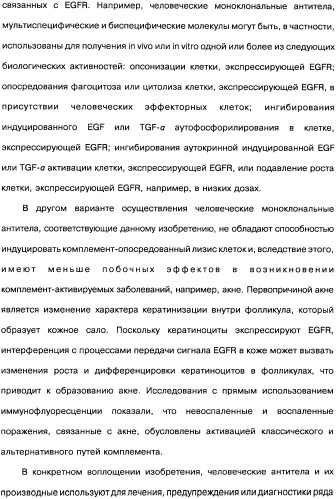 Человеческие моноклональные антитела к рецептору эпидермального фактора роста (egfr), способ их получения и их использование, гибридома, трансфектома, трансгенное животное, экспрессионный вектор (патент 2335507)