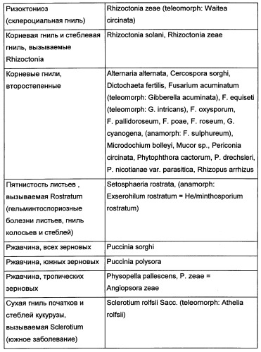 Новые последовательности нуклеиновых кислот и их применение в способах достижения устойчивости к патогенам в растениях (патент 2346985)