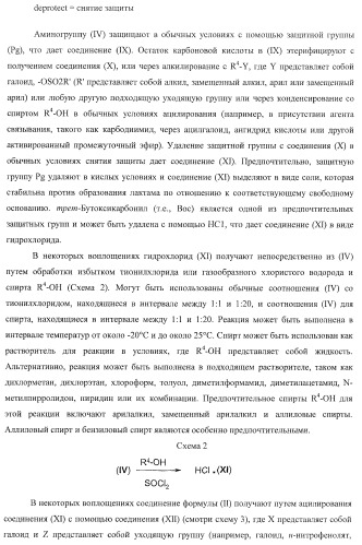 Ацилоксиалкилкарбаматные пролекарства, способы синтеза и применение (патент 2423347)