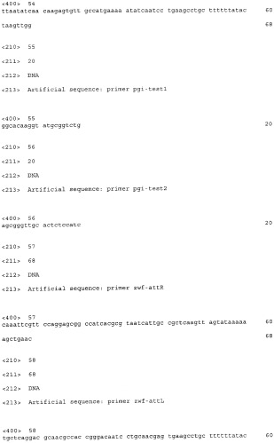 Бактерия, принадлежащая к роду pantoea, - продуцент l-аспартата или метаболита, являющегося производным l-аспартата, и способ получения l-аспартата или метаболита, являющегося производным l-аспартата (патент 2411289)