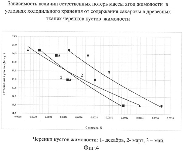 Способ прогнозирования хранения плодово-ягодной продукции (варианты) (патент 2485754)