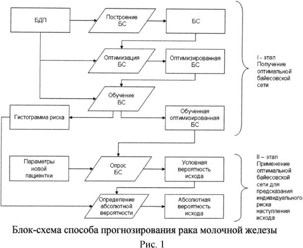 Способ прогнозирования исходов рака молочной железы (патент 2563437)