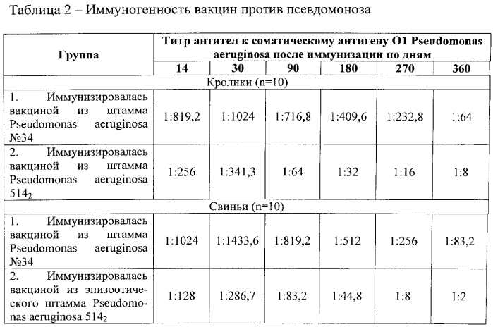 Штамм бактерий pseudomonas aeruginosa для изготовления вакцины против псевдомоноза свиней (патент 2553553)