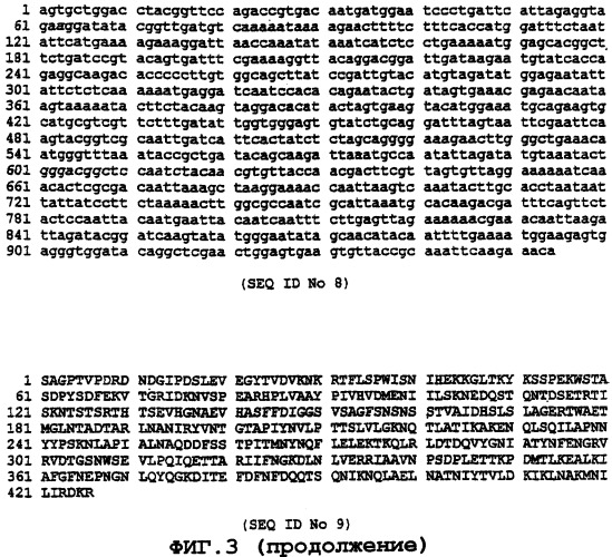 Иммуногенный полипептид, вызывающий защитный иммунный ответ против bacillus anthracis (варианты), способ его получения, нуклеиновая кислота, кодирующая его, вектор для экспрессии (варианты), способ и вакцина для предупреждения инфекции, вызванной bacillus anthracis (патент 2270865)