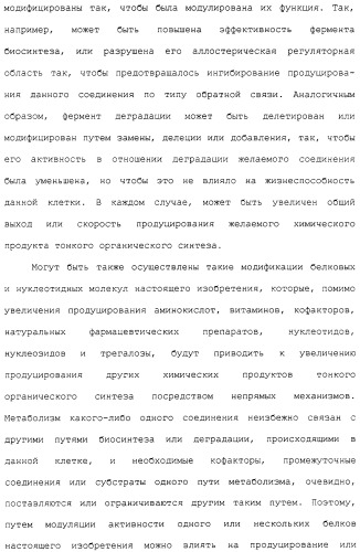 Гены corynebacterium glutamicum, кодирующие белки метаболических путей (патент 2306339)