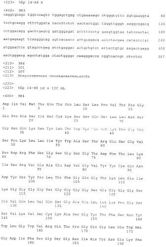 Pscaxcd3, cd19xcd3, c-metxcd3, эндосиалинxcd3, epcamxcd3, igf-1rxcd3 или fap-альфаxcd3 биспецифическое одноцепочечное антитело с межвидовой специфичностью (патент 2547600)