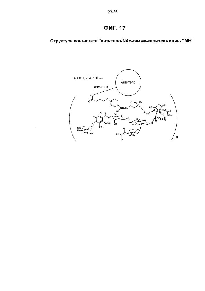Конъюгаты "производное калихеамицина-носитель" (патент 2602878)