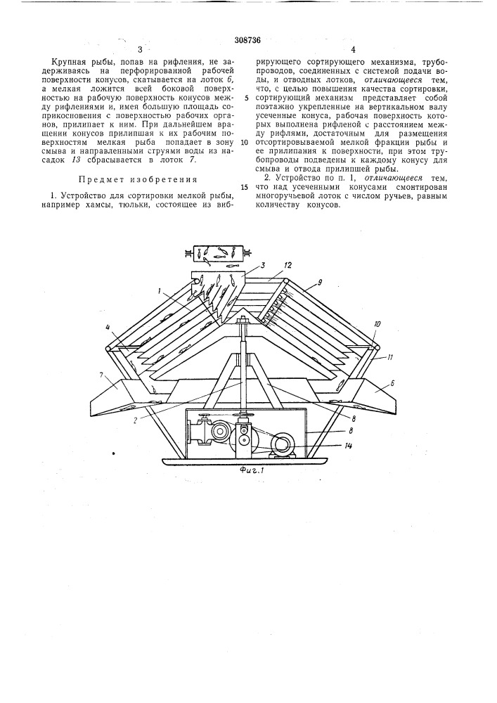 Устротйство для сортировки мелкой рыбы (патент 308736)