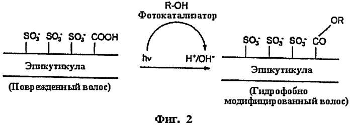Композиции и способы, включающие фотокатализаторы (патент 2537838)
