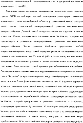 Человеческие моноклональные антитела к рецептору эпидермального фактора роста (egfr), способ их получения и их использование, гибридома, трансфектома, трансгенное животное, экспрессионный вектор (патент 2335507)