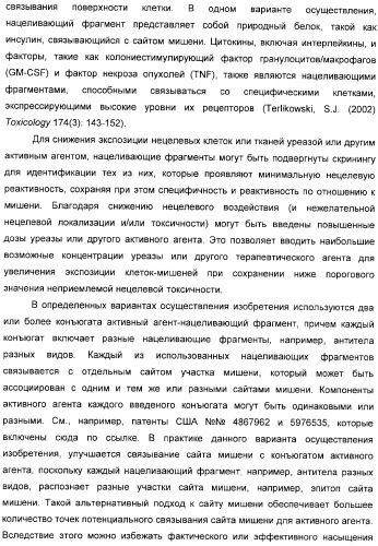 Использование уреазы для ингибирования роста раковых клеток (патент 2326691)