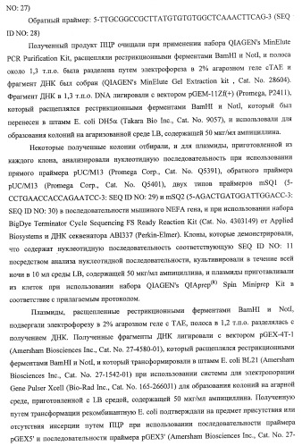 Способ получения фактора, связанного с контролем над потреблением пищи и/или массой тела, полипептид, обладающий активностью подавления потребления пищи и/или прибавления в весе, молекула нуклеиновой кислоты, кодирующая полипептид, способы и применение полипептида (патент 2418002)