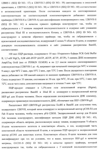 Днк, кодирующая модифицированное антитело или соединение с активностью агониста тро, способ их получения и животная клетка или микроорганизм, их продуцирующие (патент 2422528)