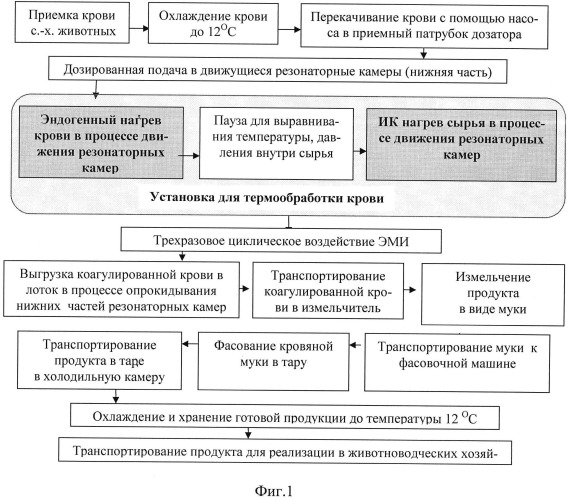 Способ термообработки крови сельскохозяйственных животных (патент 2541634)