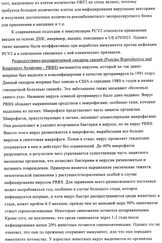 Поливалентные иммуногенные композиции pcv2 и способы получения таких композиций (патент 2488407)