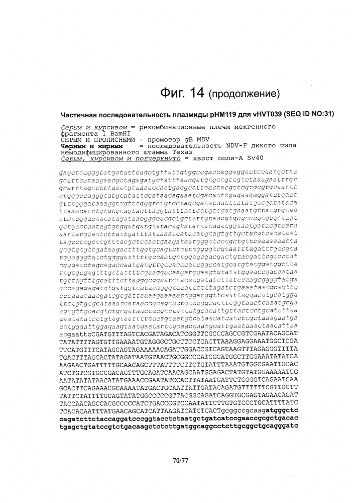 Рекомбинантные векторы hvt, экспрессирующие антигены патогенов птиц и их применение (патент 2620936)