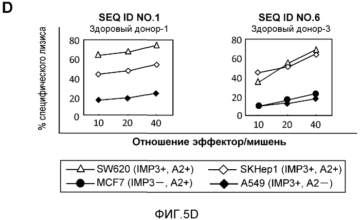 Олигопептиды imp-3 и содержащие их вакцины (патент 2550695)