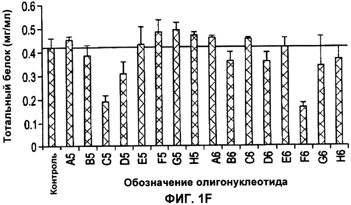 Лечение пролиферативных заболеваний с использованием антисмыслового олигомера iap и химиотерапевтического препарата (патент 2376018)