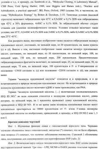 Идентификация варианта днк, связанного с гиполактазией взрослого типа (патент 2391404)