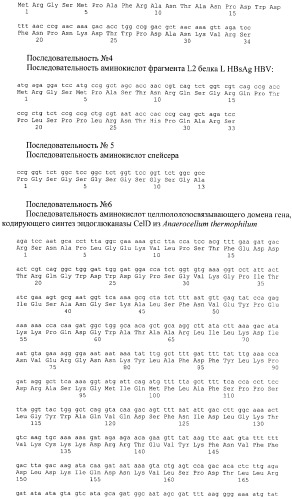 Рекомбинантная плазмида (варианты), штамм escherichia coli (варианты) - продуцент химерных белков, химерный белок (варианты), способ иммобилизации, концентрирования и очистки рекомбинантных белков на целлюлозе, способ иммобилизации рекомбинантных белков на полистирольных носителях (патент 2378371)