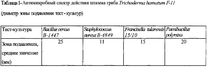 Штамм микромицета trichoderma hamatum, обладающий антибактериальной активностью в отношении возбудителя сибирской язвы bacillus anthracis (патент 2558293)