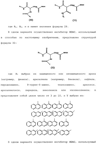 Способы лечения рака с использованием ингибиторов hdac (патент 2356547)