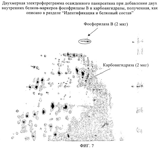 Способ анализа панкреатита и содержащих его композиций (патент 2359270)